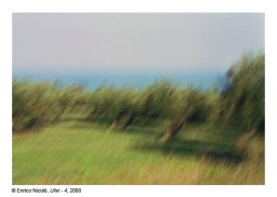 08_Ulivi-4_008