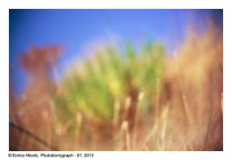 11_Photoblurrygraph-67_011