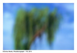 12_Photoblurrygraph-116_012