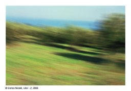 32_Ulivi-2_032