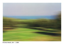 33_Ulivi-1_033