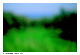 35_Ulivi-7_035