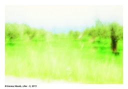 37_Ulivi-5_036