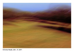 47b_Ulivi-21_047a