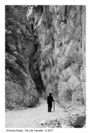 03c_The-Life-Traveller-6_003b