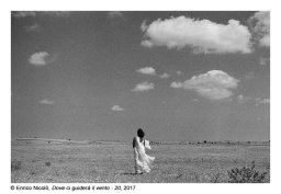 Where the Wind Will Guide Us